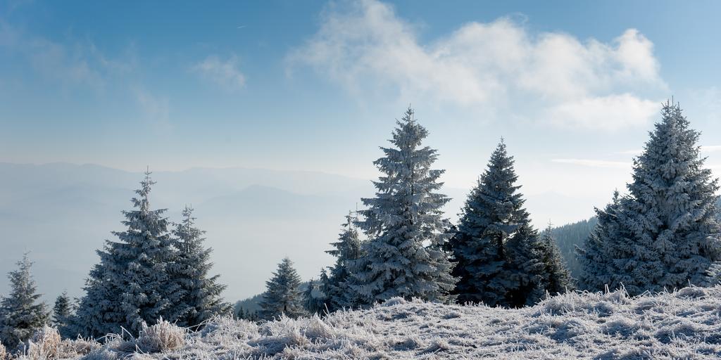 Penzion Ladoven Skvela Kuchyna A Rodinna Atmosfera مارتون المظهر الخارجي الصورة